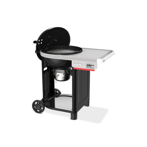 Weber Performer