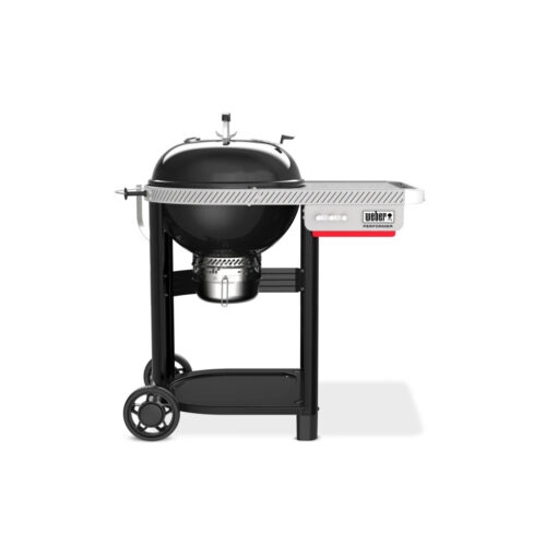 Weber Performer
