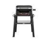 Weber Lumin Stand 1501652