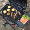 Weber Traveler Compact 1501747