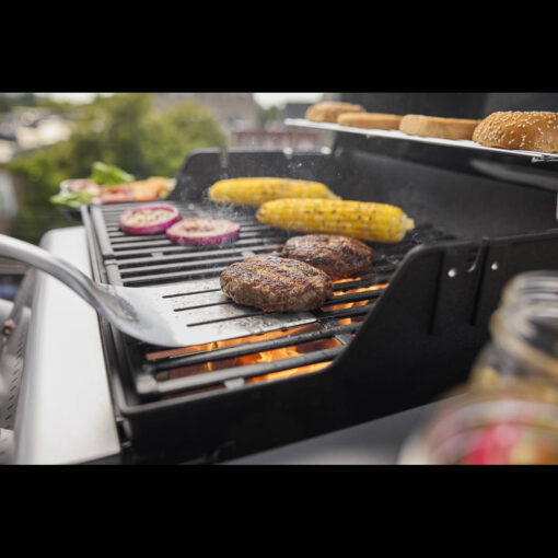 grilovaniena grile Weber Spirit E-210