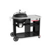 Weber Performer Premium