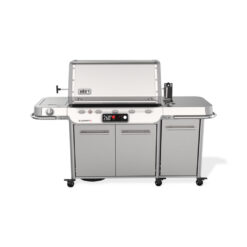 Weber Summit FS38X S Smart